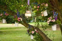 Get Knotted Weddings, Events and Flowers 1103043 Image 4